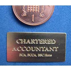 Chartered Accountant